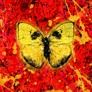 日韩光屁股做爱视频在线观看
