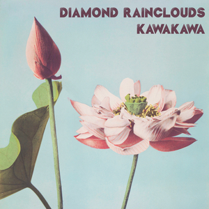 日韩光屁股做爱视频在线观看
