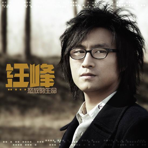 日韩光屁股做爱视频在线观看
