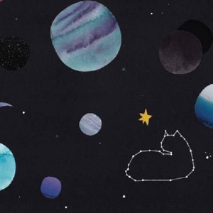 日韩光屁股做爱视频在线观看
