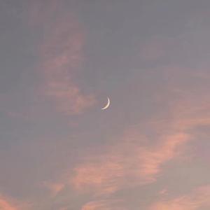 日韩光屁股做爱视频在线观看
