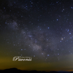 日韩光屁股做爱视频在线观看
