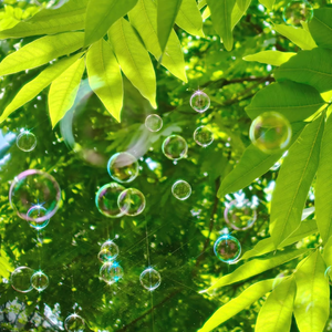 日韩光屁股做爱视频在线观看
